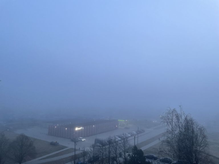 Туман в Таллинне.