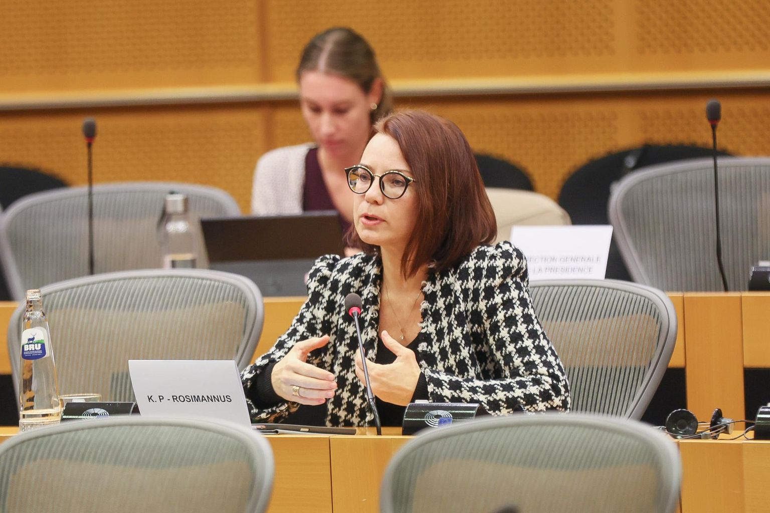 Кейт Пентус-Розиманнус прошла слушания в Европарламенте.