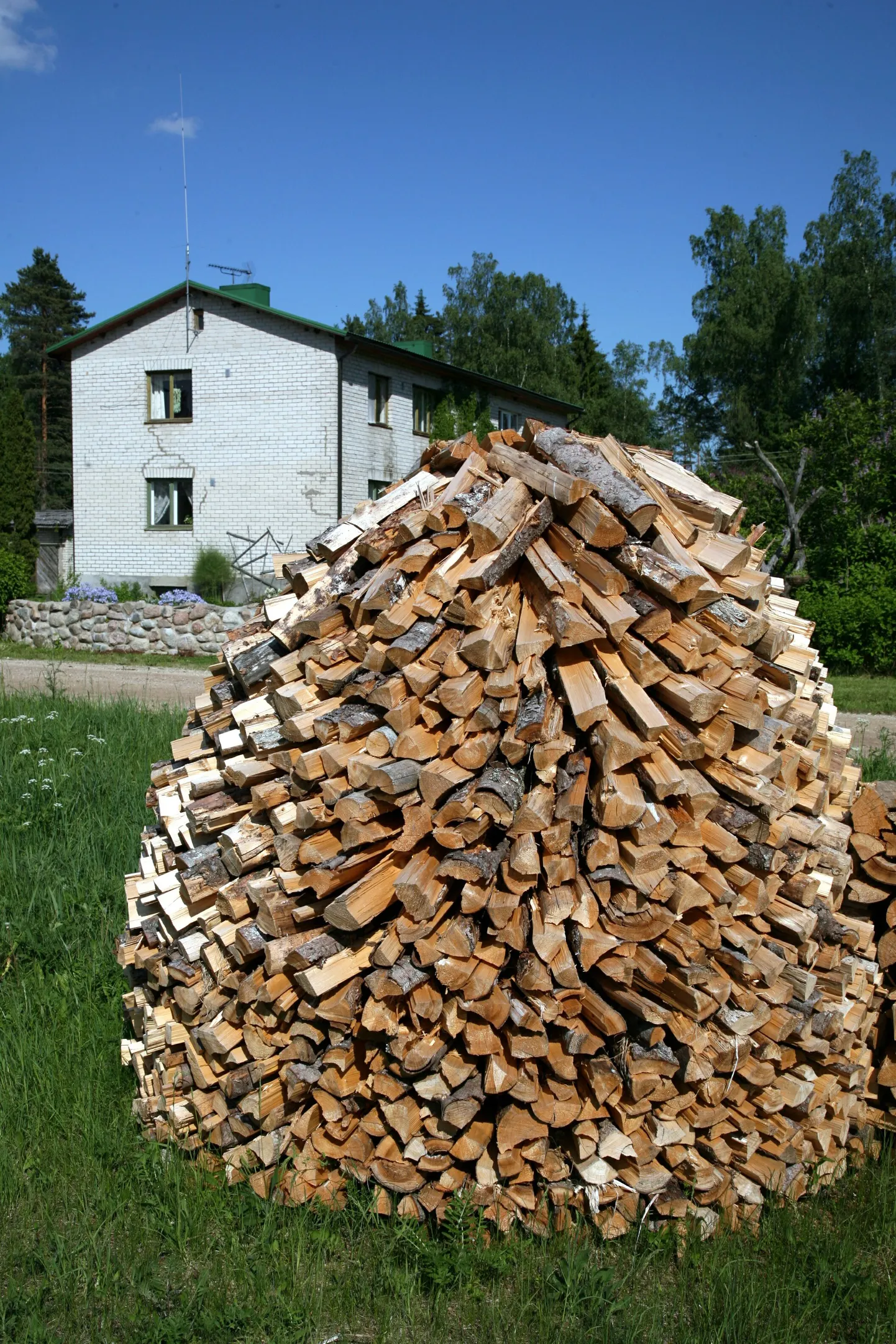 Kütepuid müüakse väga erineva kvaliteediga.