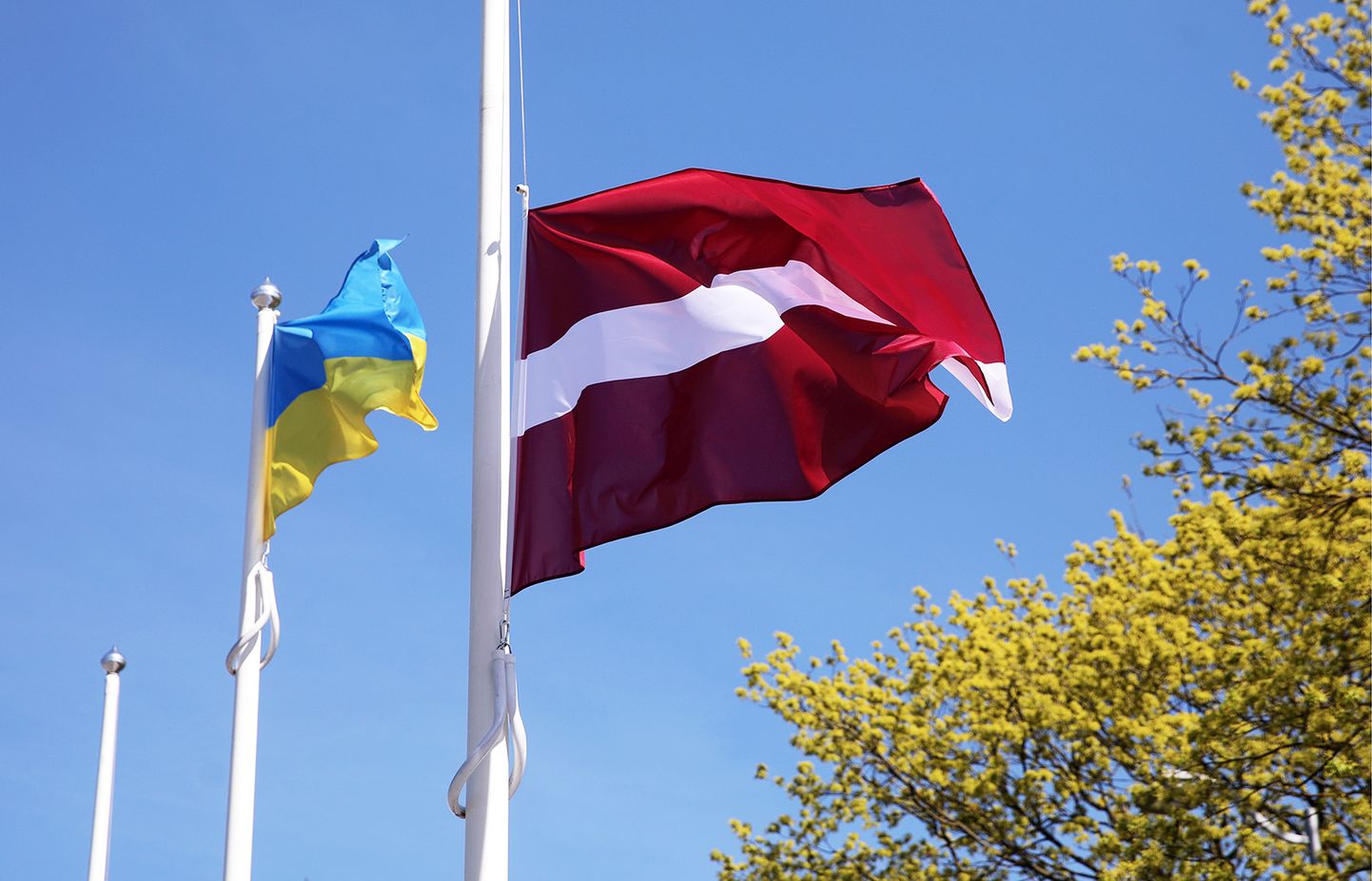 Флаги Латвии и Украины