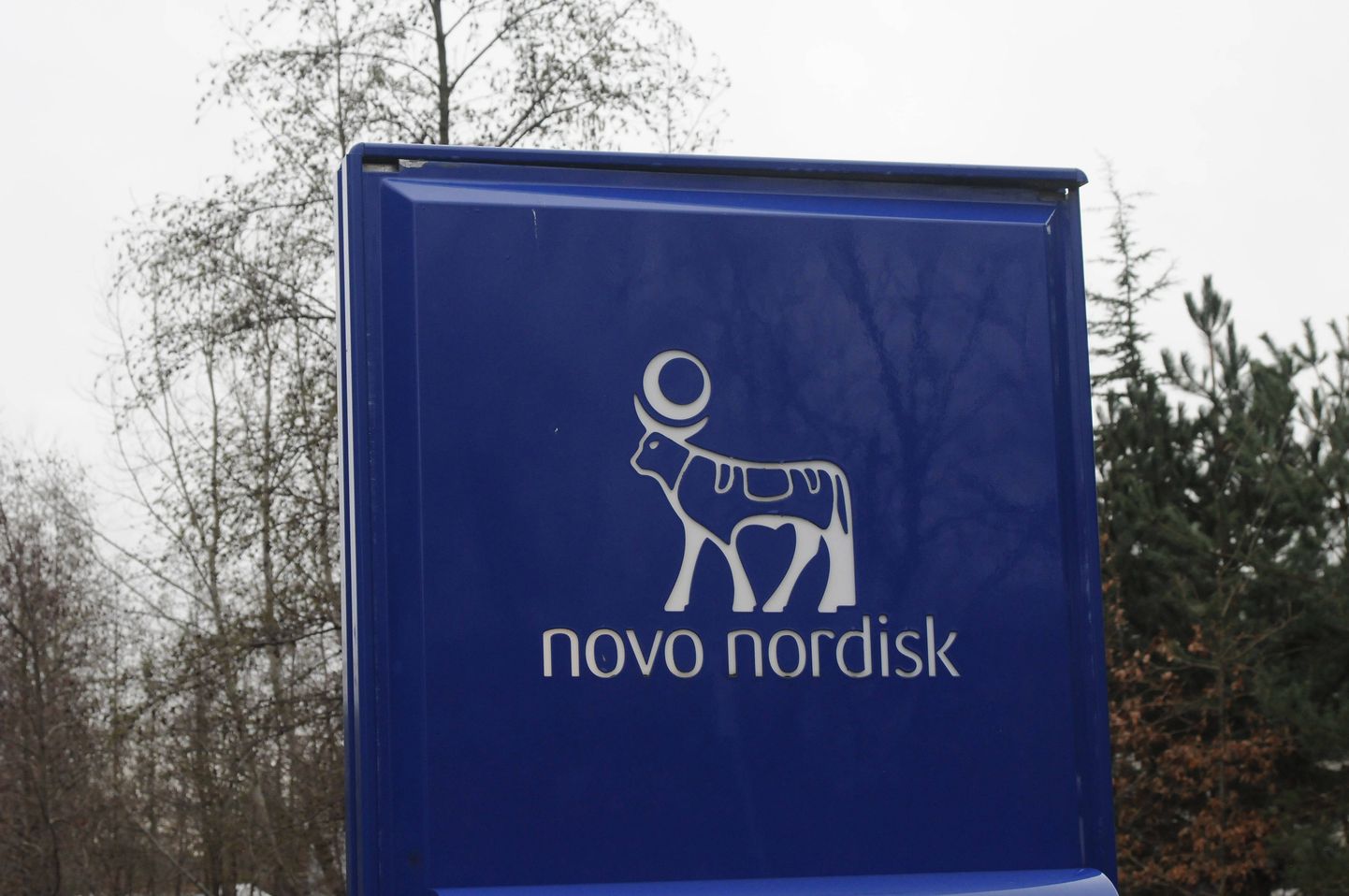 Investor Mari investeeris Novo Nordiski aktsiasse.