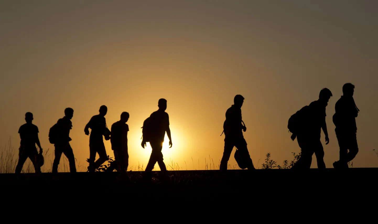 Migrandid