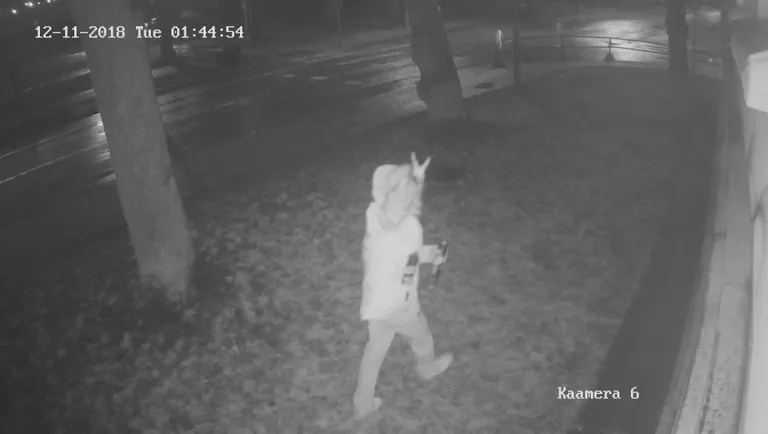 Завершив свое дело, хулиган сплясал перед камерой видеонаблюдения.