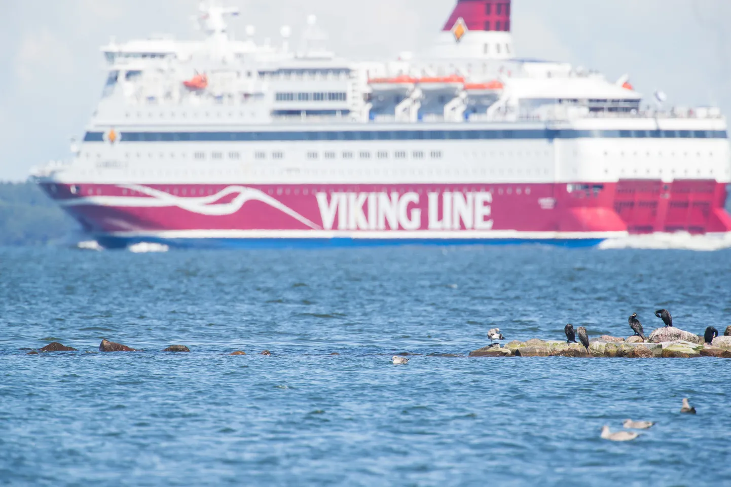 Viking line.