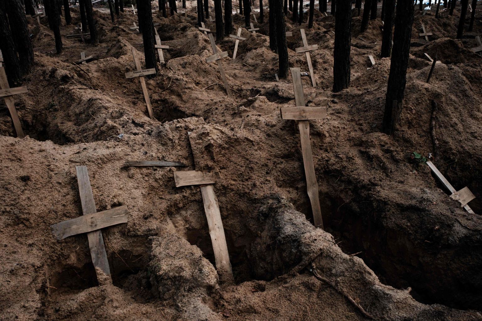 Пустые могилы после эксгумации тел из братского кладбища, созданного во время российской оккупации в Изюме, Украина