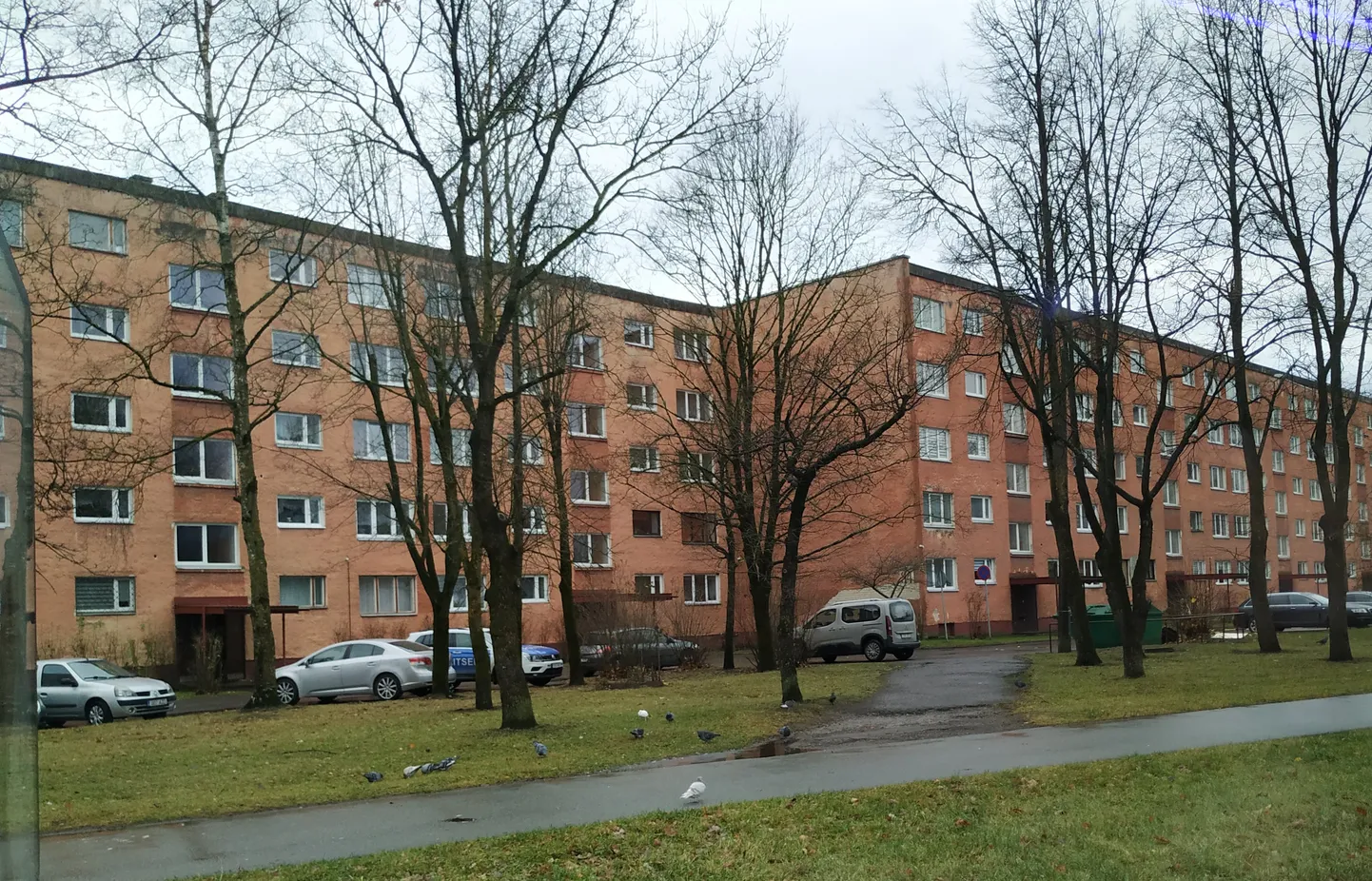 Многоквартирные дома в Нарве.
