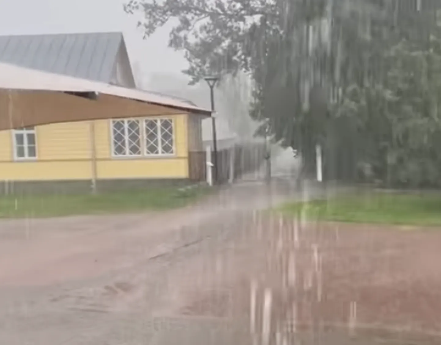 Äiksevihm Haapsalus