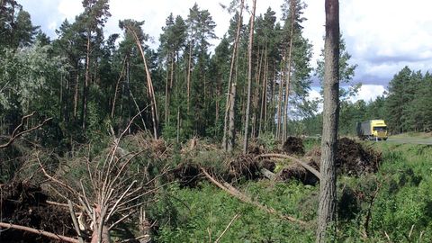 Valga- ja Võrumaal käib suur üraskirüüste