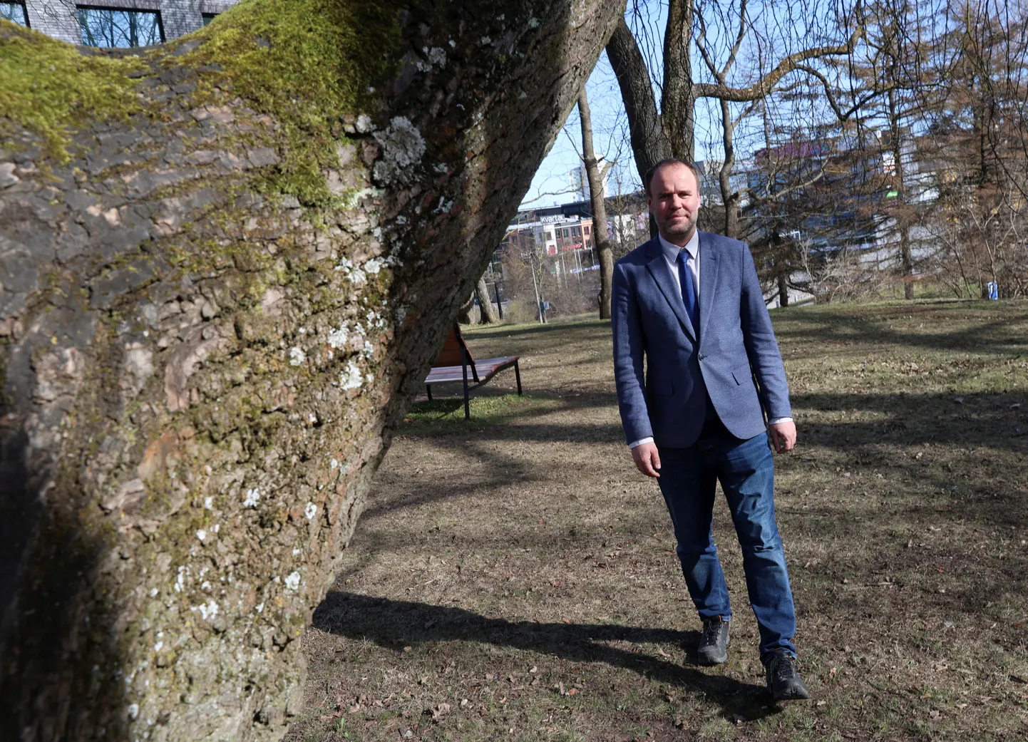 Linna haridusosakonna üldhariduse valdkonna juht Reigo Ginter sõnas, et nüüd tuleb linnal ja koolil hakata koostöös puuduseid parandama.