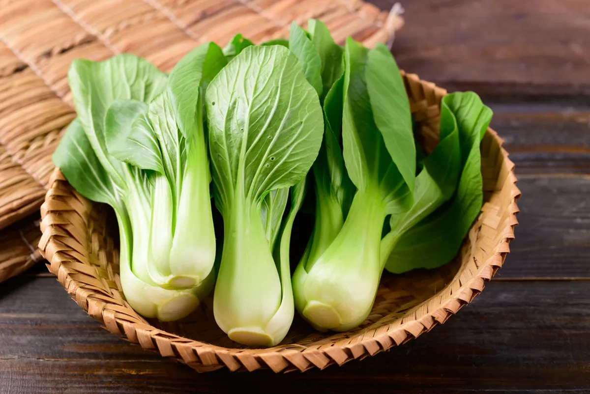Paksoi.