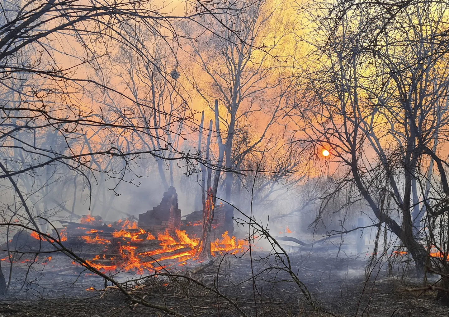 Metsapõleng Tšornobõli lähistel. Foto on illustreeriv.