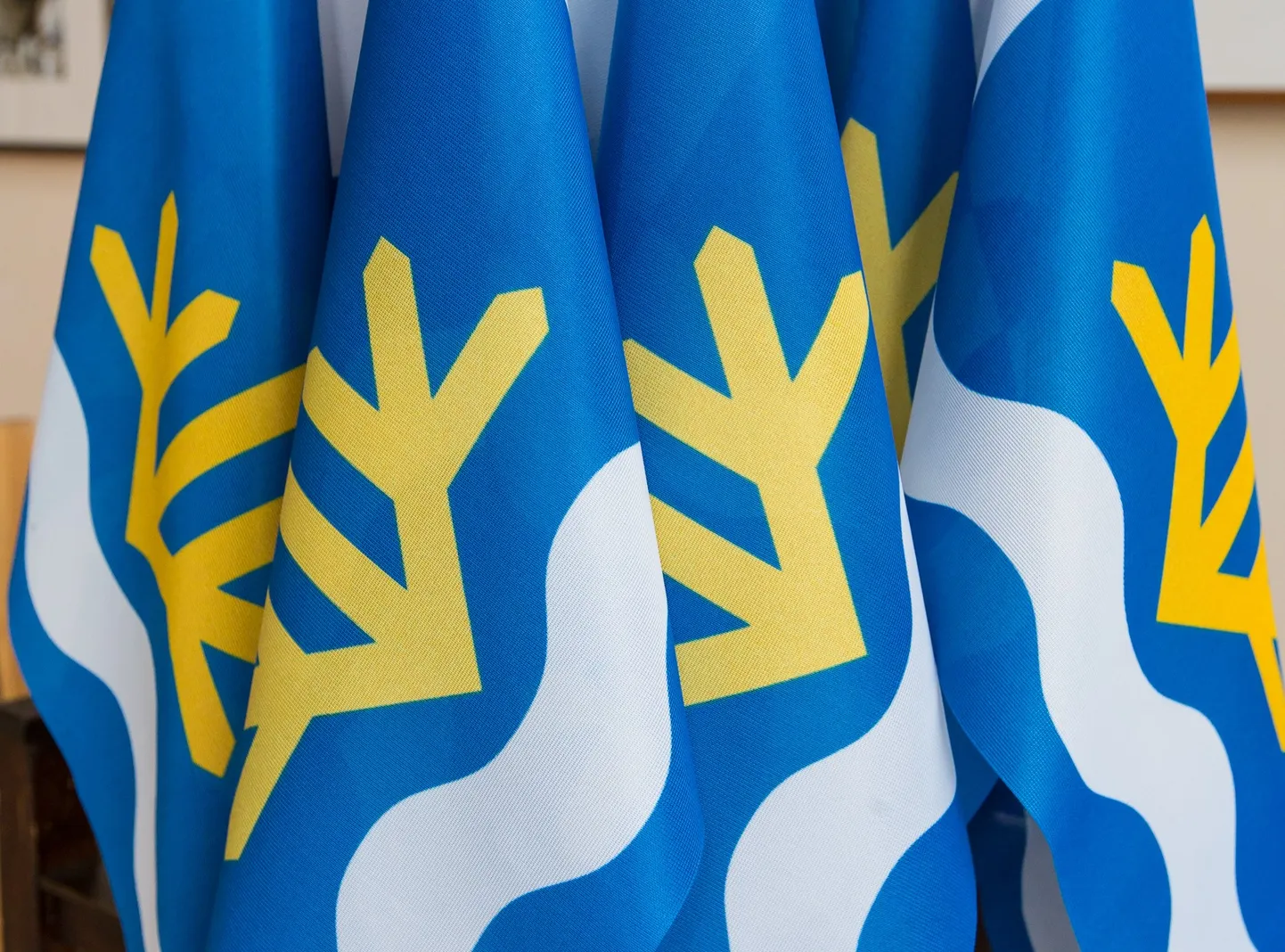 Toila valla lipud.