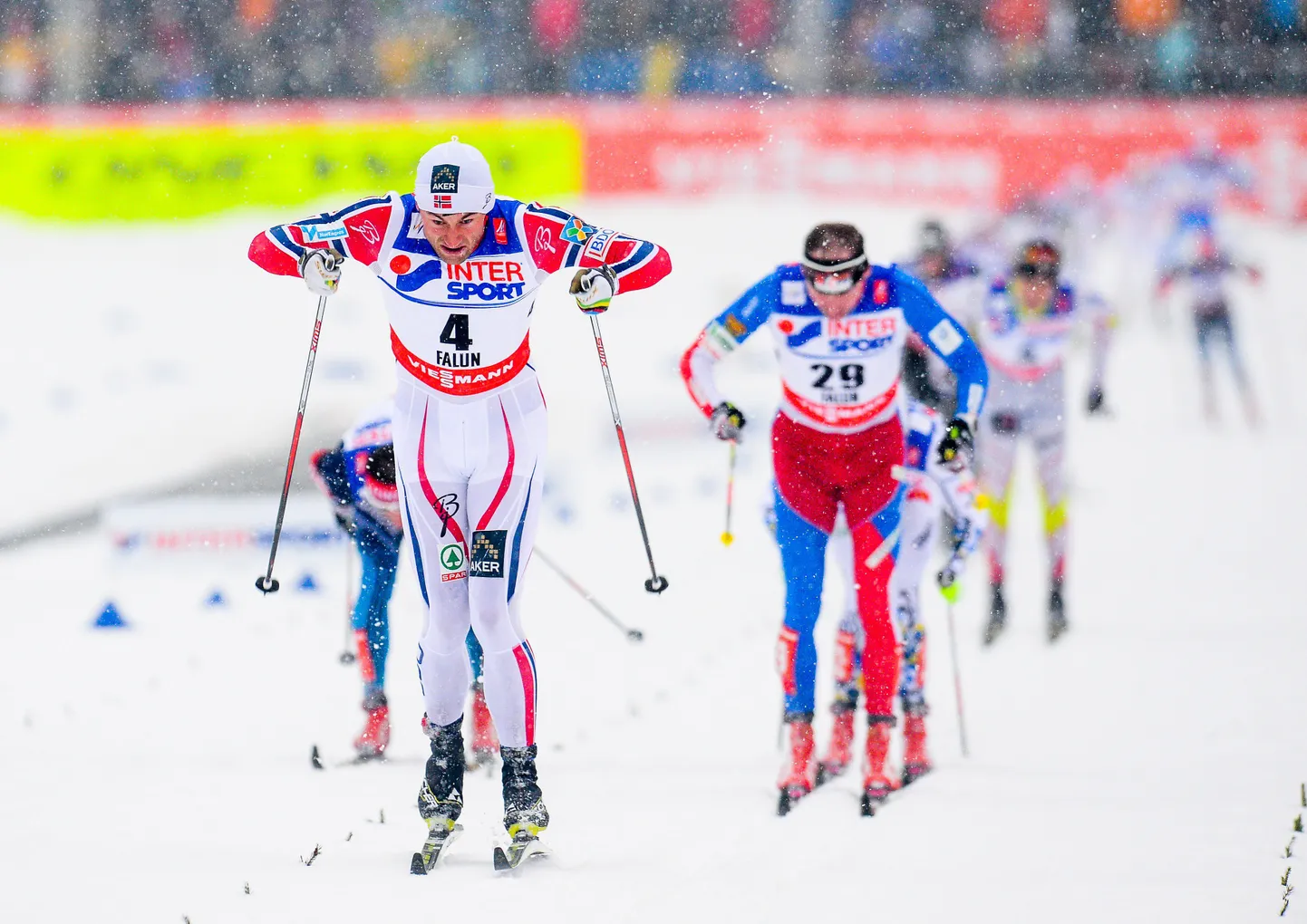 Petter Northug (nr. 4) on lõpusirgel tuisanud kõikidest konkurentidest mööda ja tema Faluni MMi neljas kuldmedal on tõsiasi.