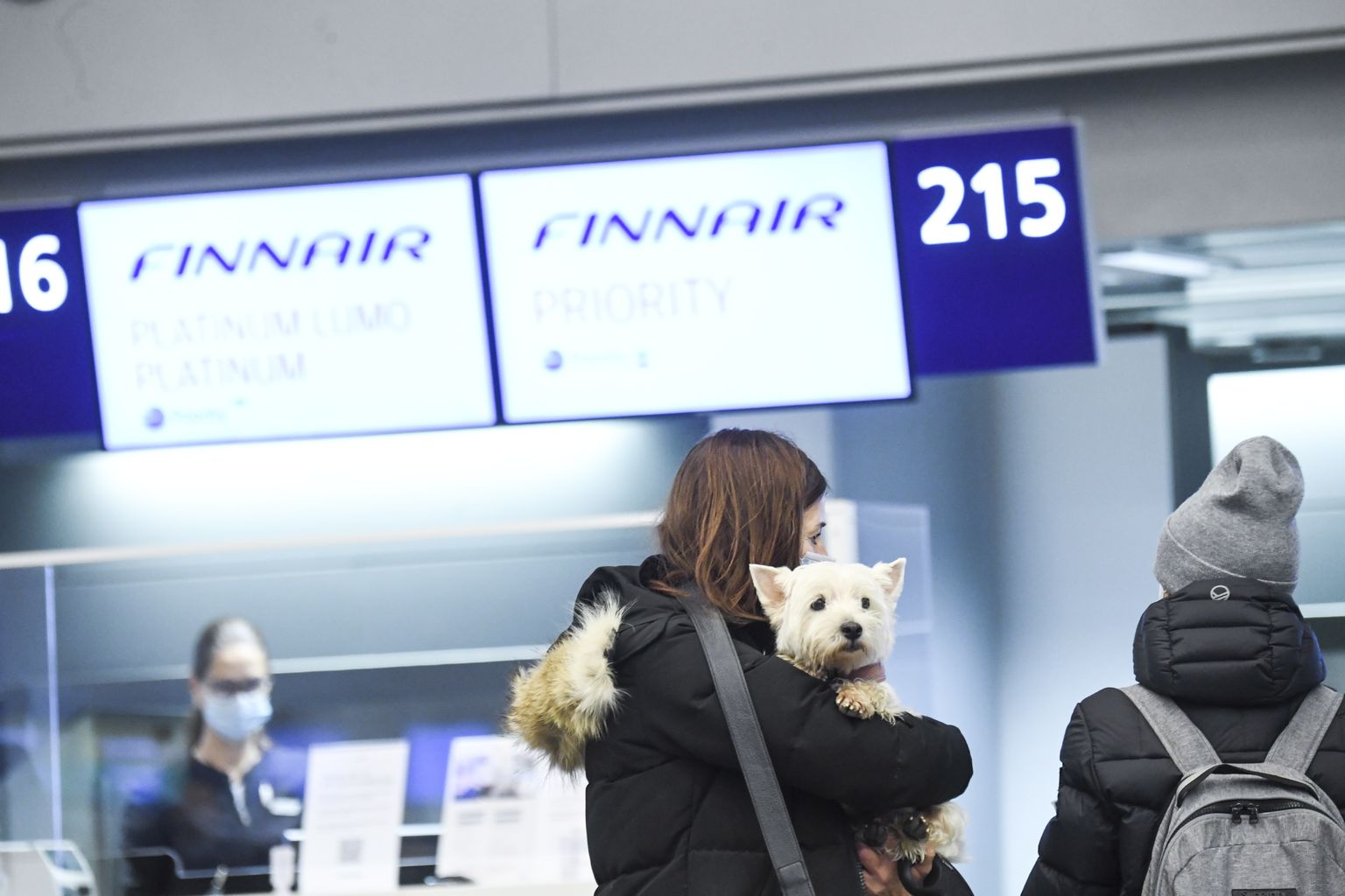 Правительство Финляндии разрешило трудвую миграцию авиарейсами