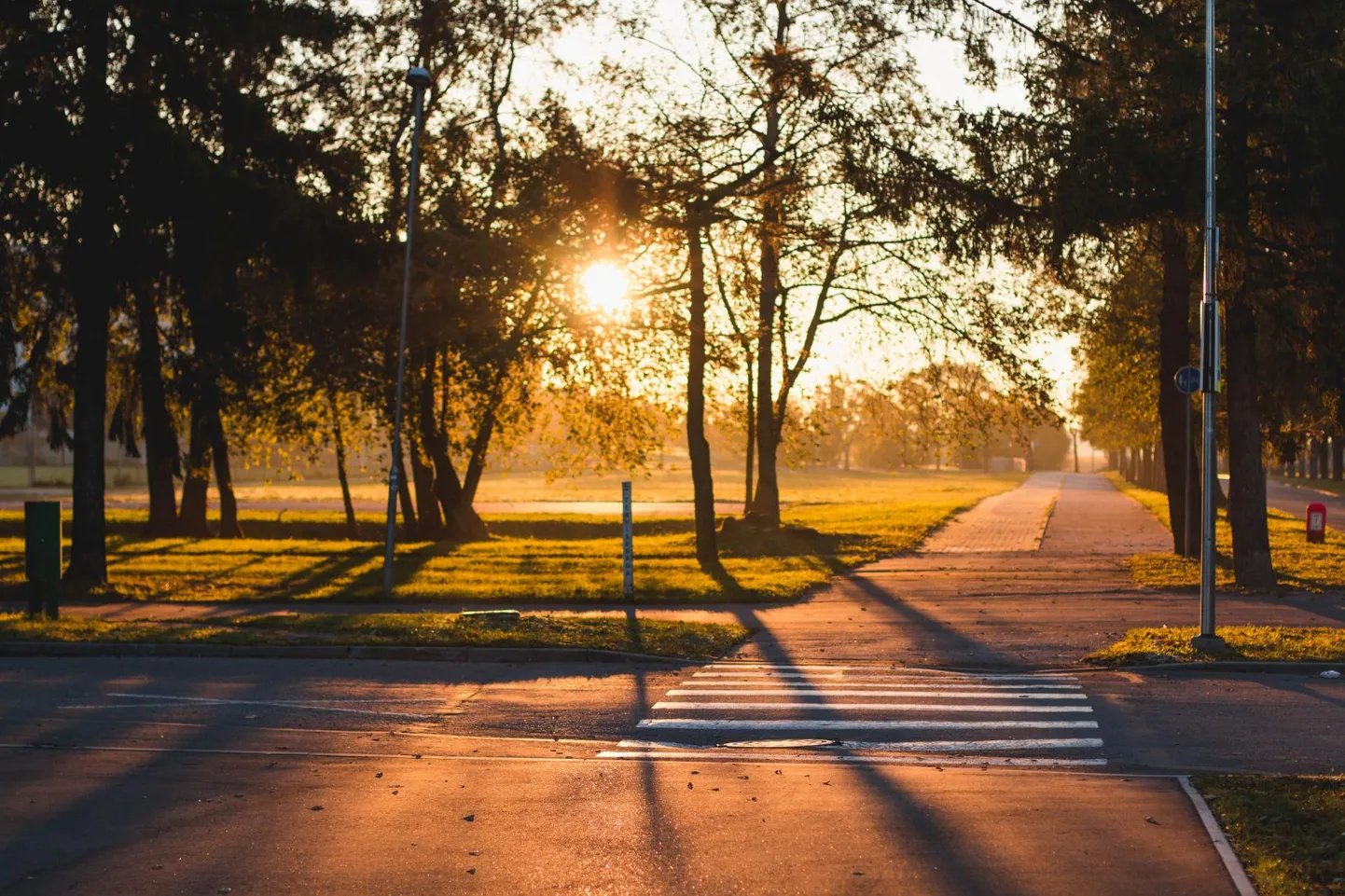 Järgmisel nädalal on öökülmaoht.