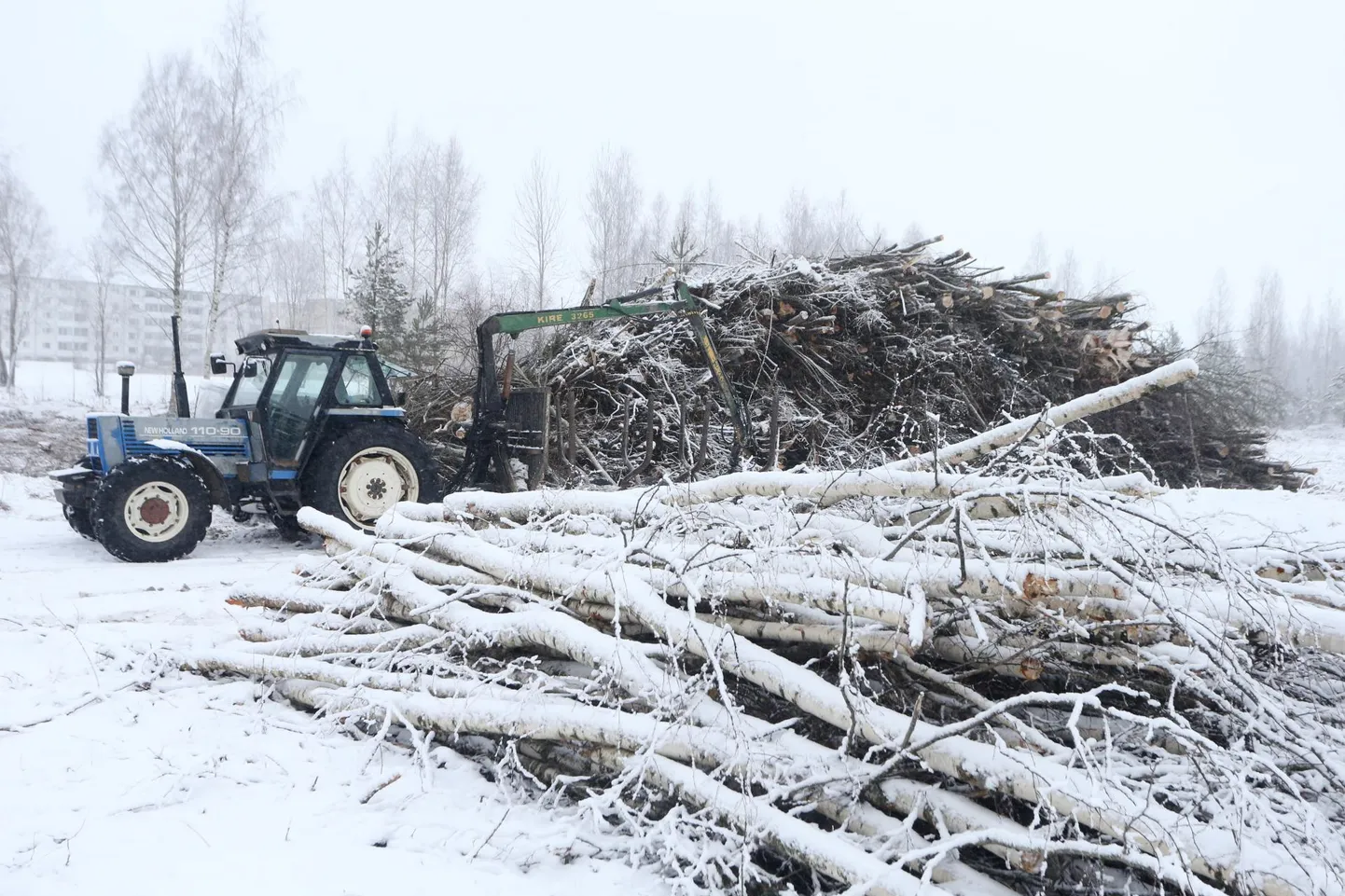 Harvendusraie käib Lammi tee ääres krundil, kuhu linn on kavandanud spordirajatisi.