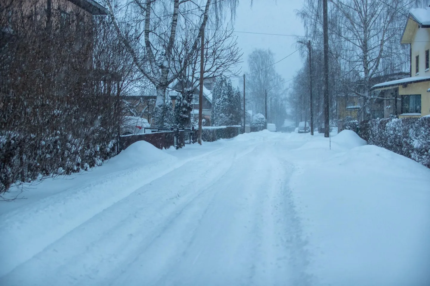 Teed olid reede hommiku lume all ka Viljandis.