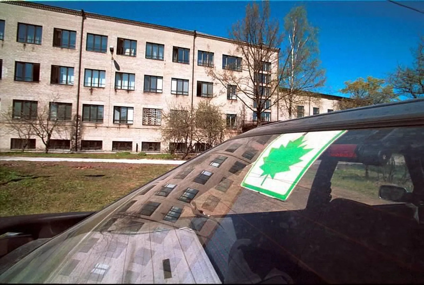 Algaja juhi tunnusmärk roheline vahtraleht.