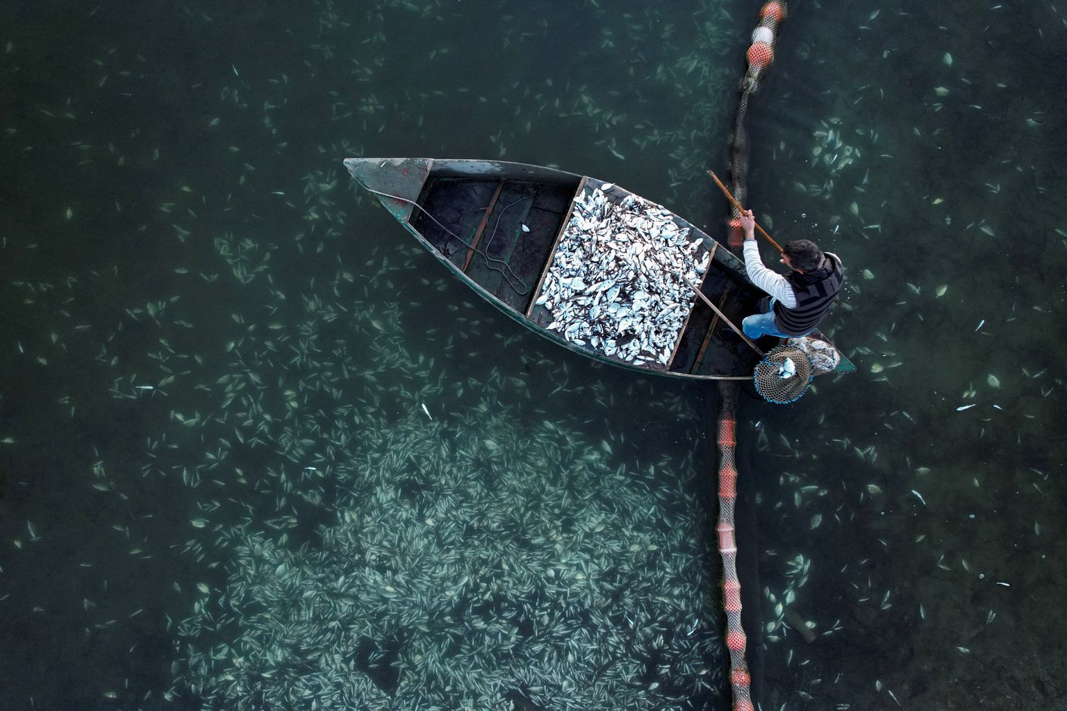 Kreeka Igoumenitsa kalakasvataja Ioannis Ouzounoglou korjamas kokku külma tõttu surnud kalu