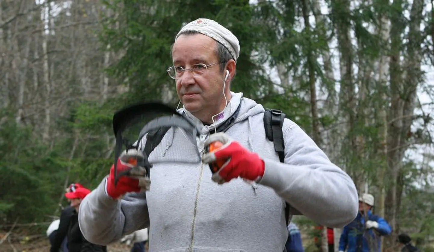 Toomas Hendrik Ilves on vilunud võsalõikaja. Näiteks 2008. aasta sügisel haaras ta trimmeri koristustalgutel Taagepera külas Sooglemäe talus.