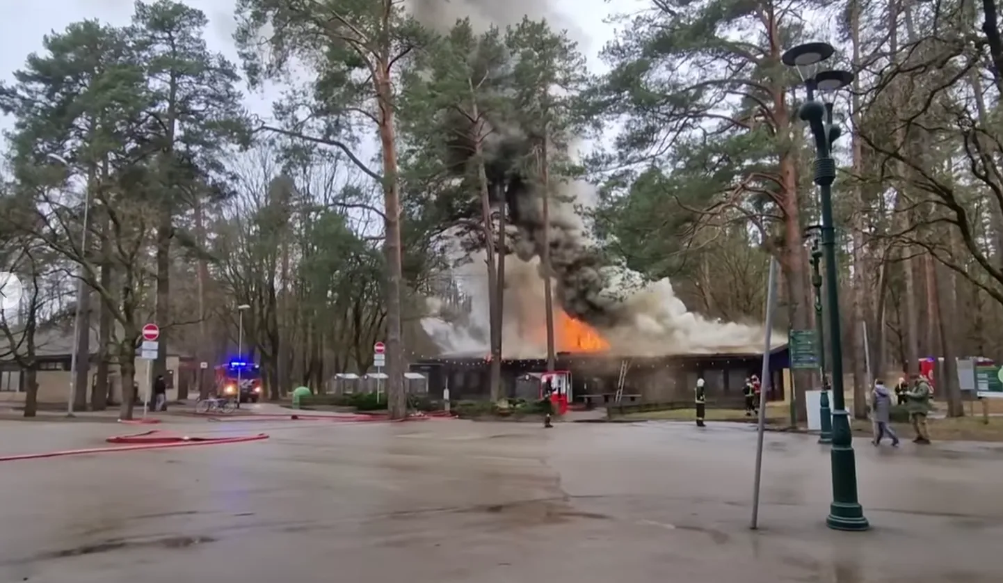 Пожар в Межапарке