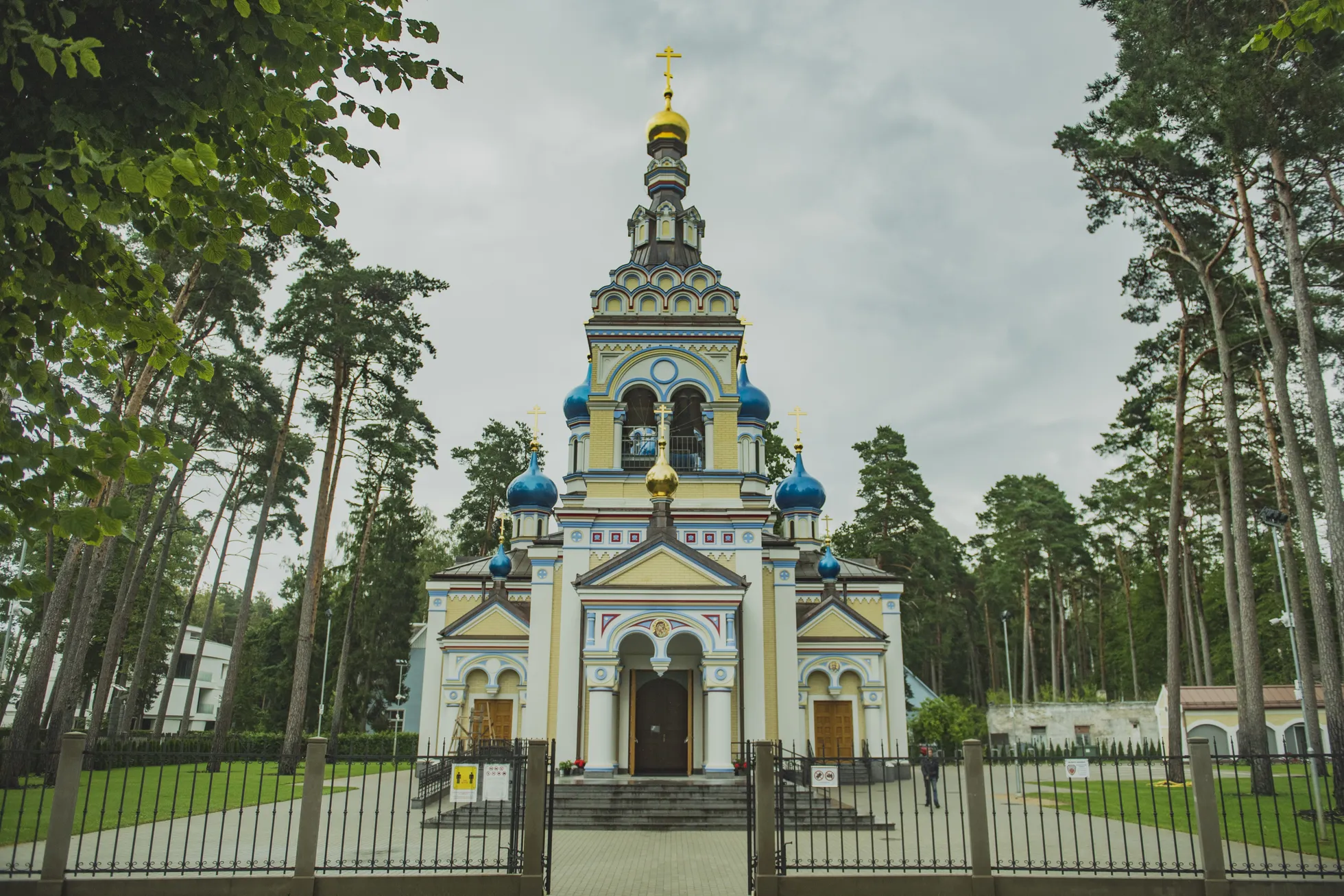 Фото статьи