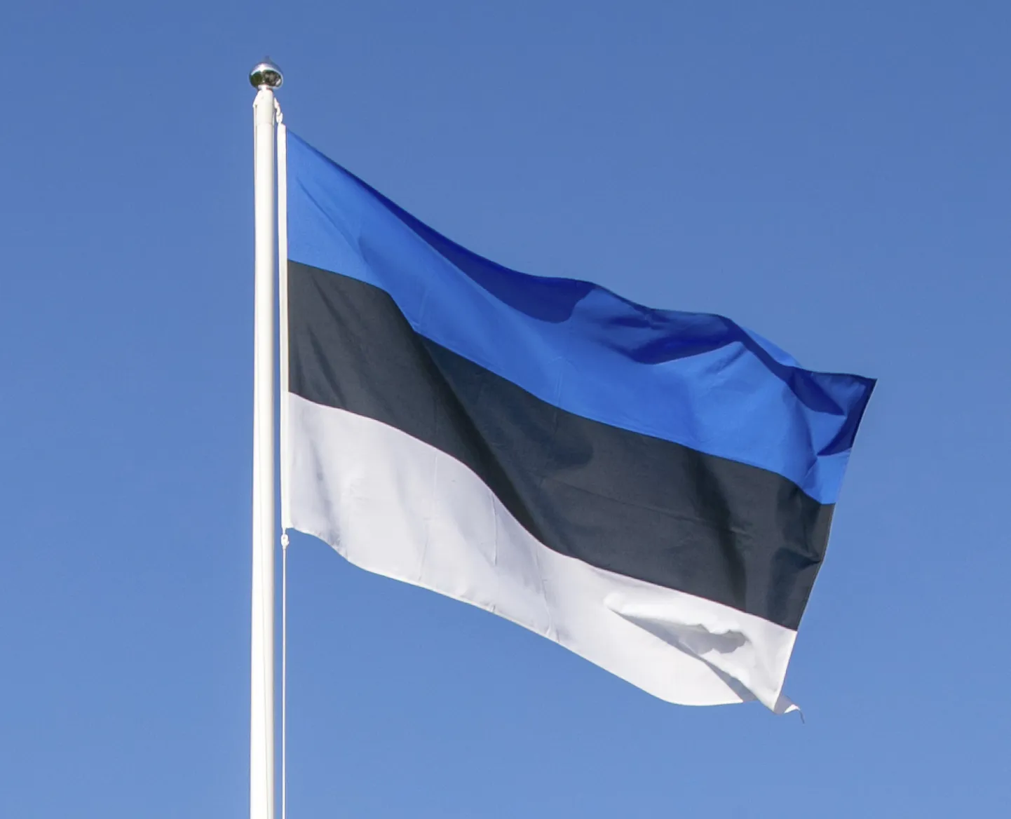 Eesti Vabariigi väljakuulutamise monumendi juures heisatakse pidulikult riigilipp.