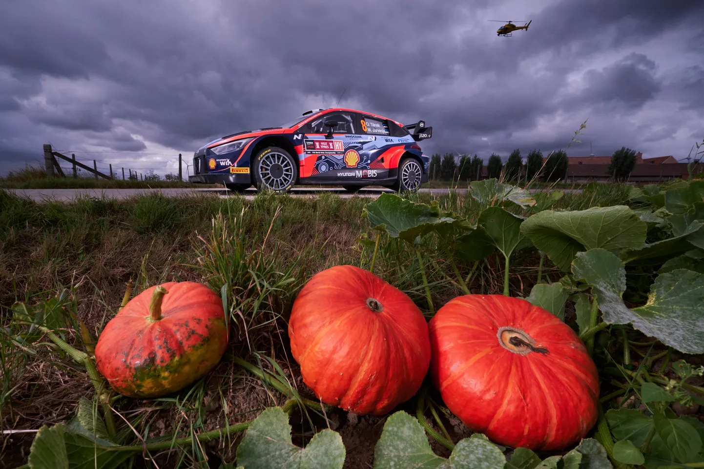 Ott Tänak ja Martin Järveoja Belgia rallil.