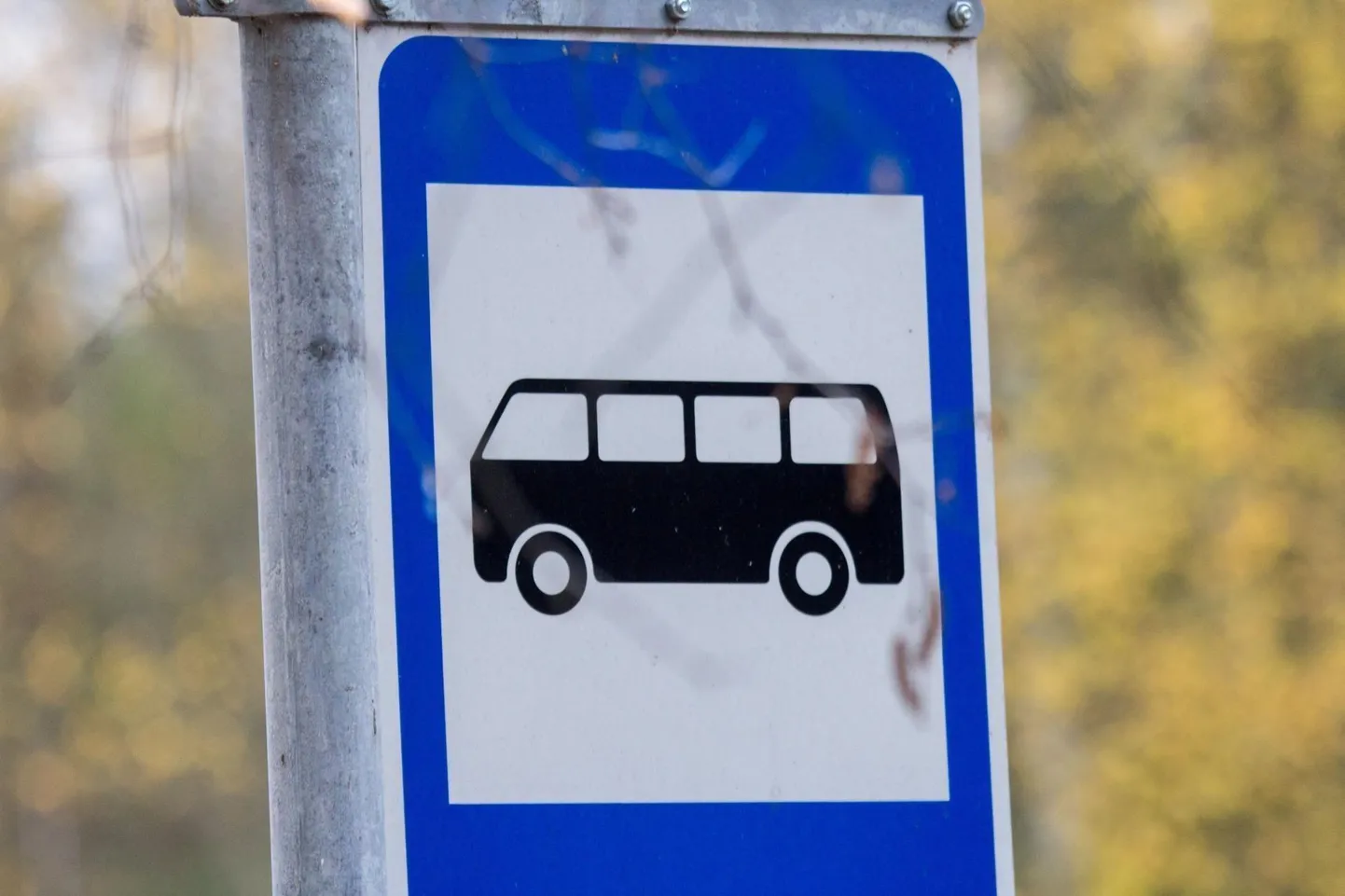 Bussipeatus.