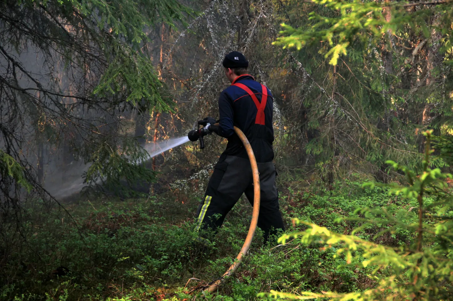 Metsapõleng Hummuli vallas Aitsra külas.