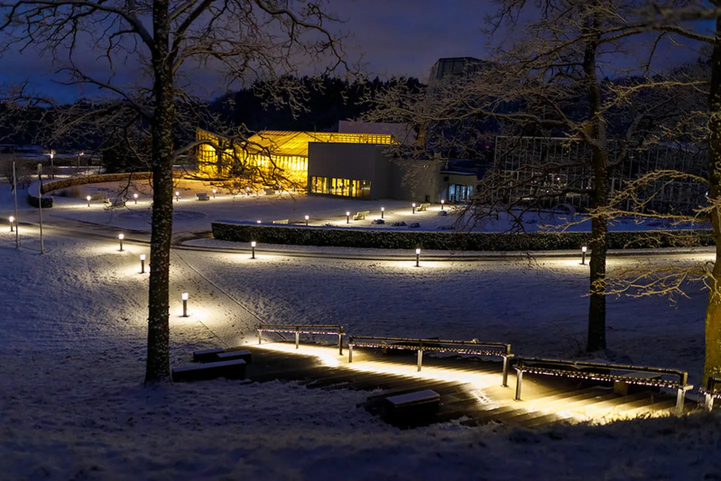 Tallinna Botaanikaaia uus välisvalgustus.