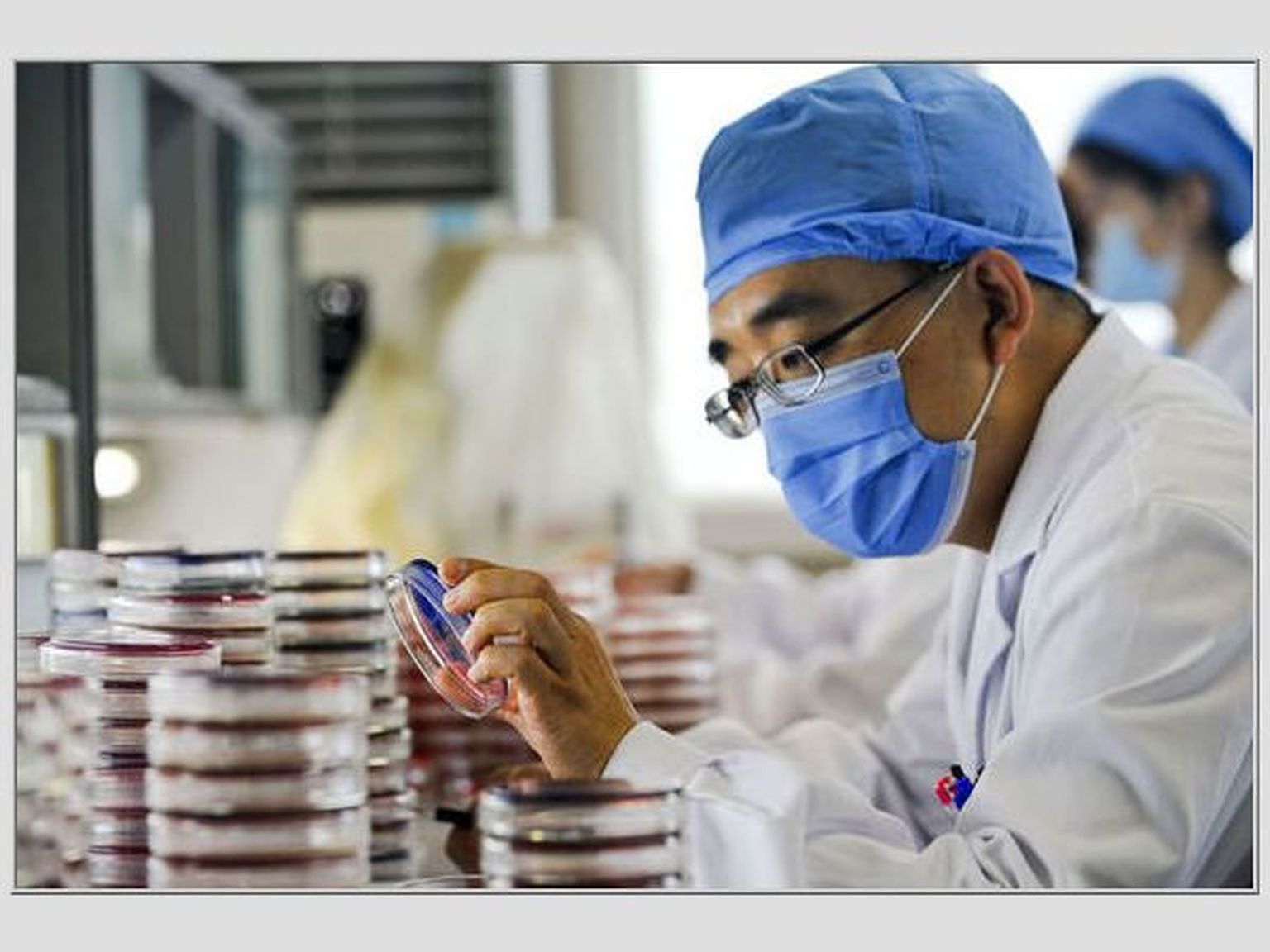 Hiina arst bakteriproovi uurimas.
