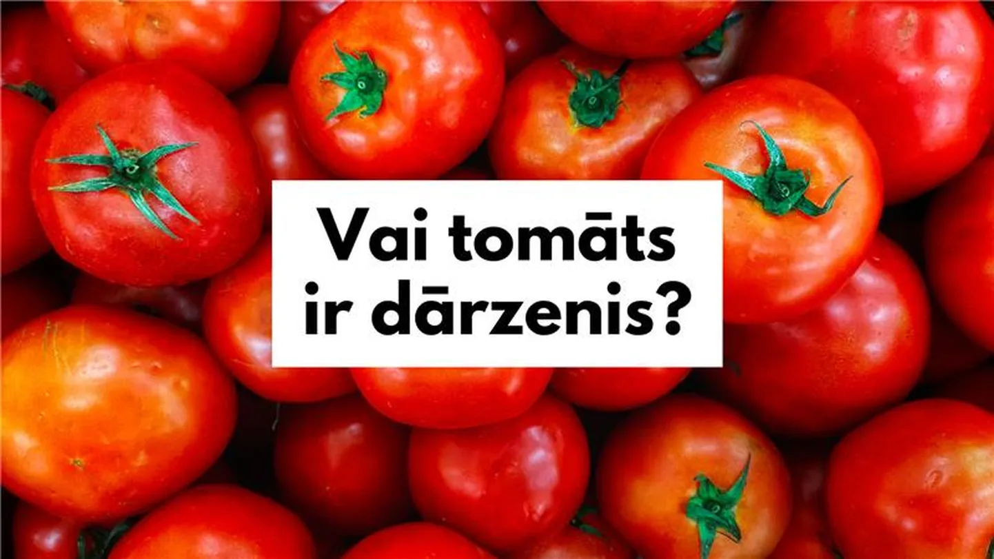 Raksta foto