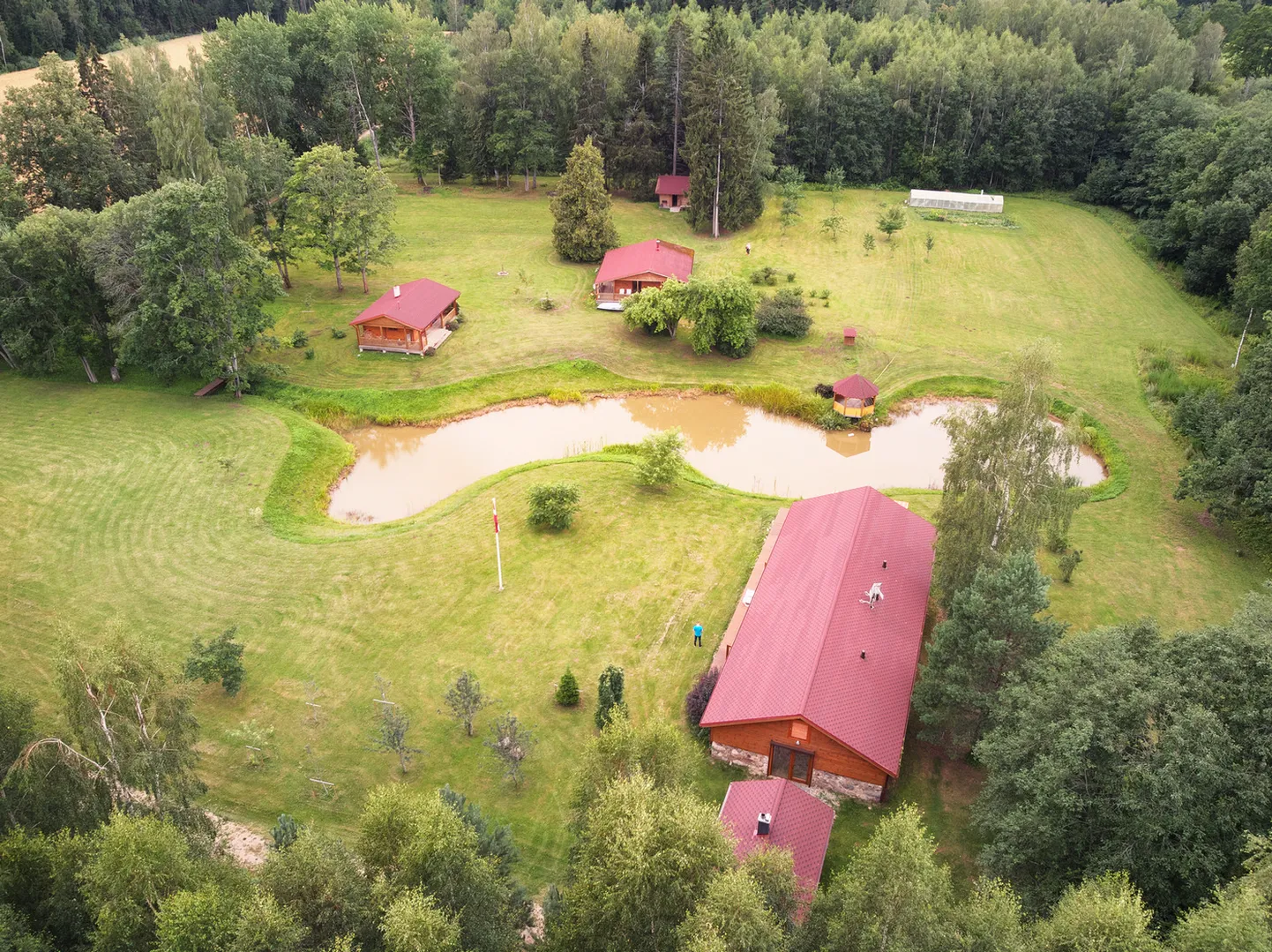 Raksta foto