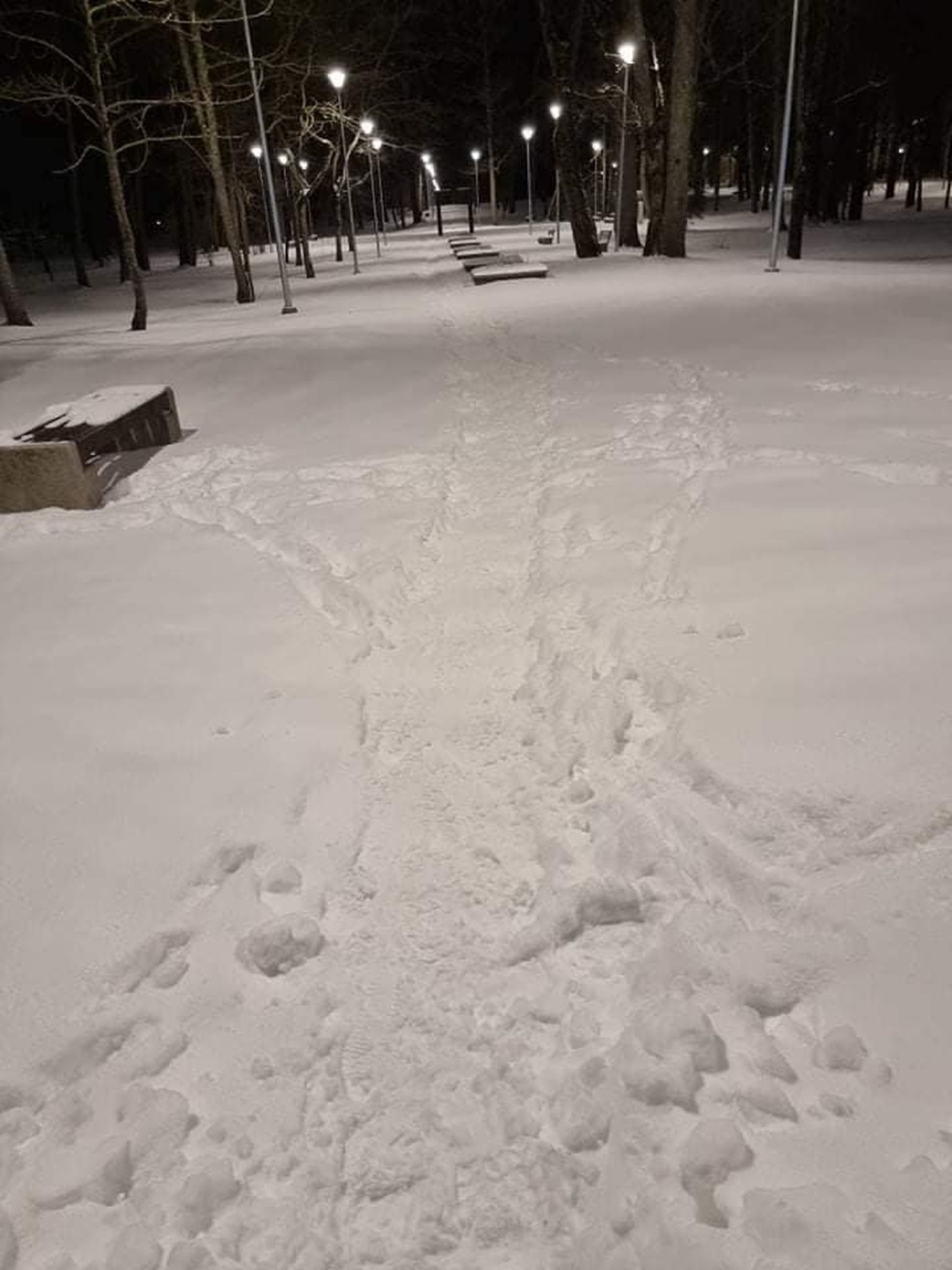 Pärast nädala alguse lumesadusid oli Jõhvi pargis lumi mitu päeva koristamata .