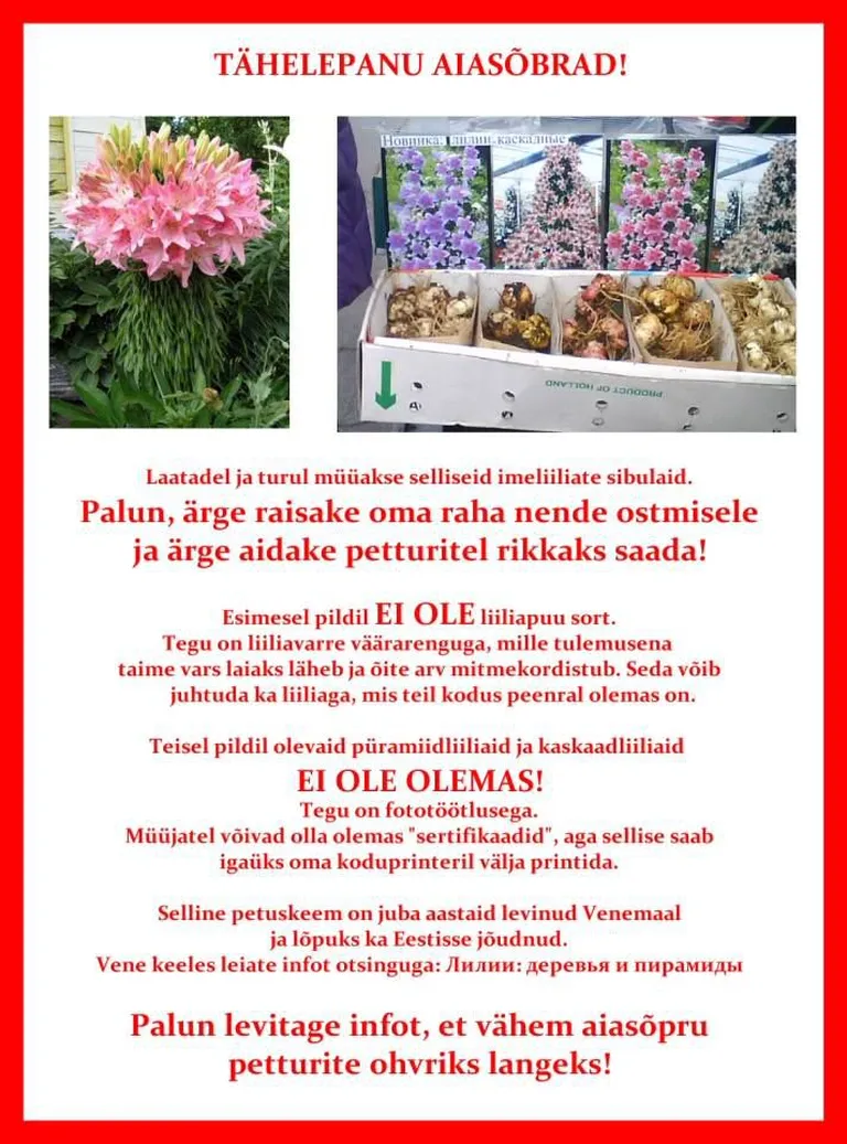 Artikli foto