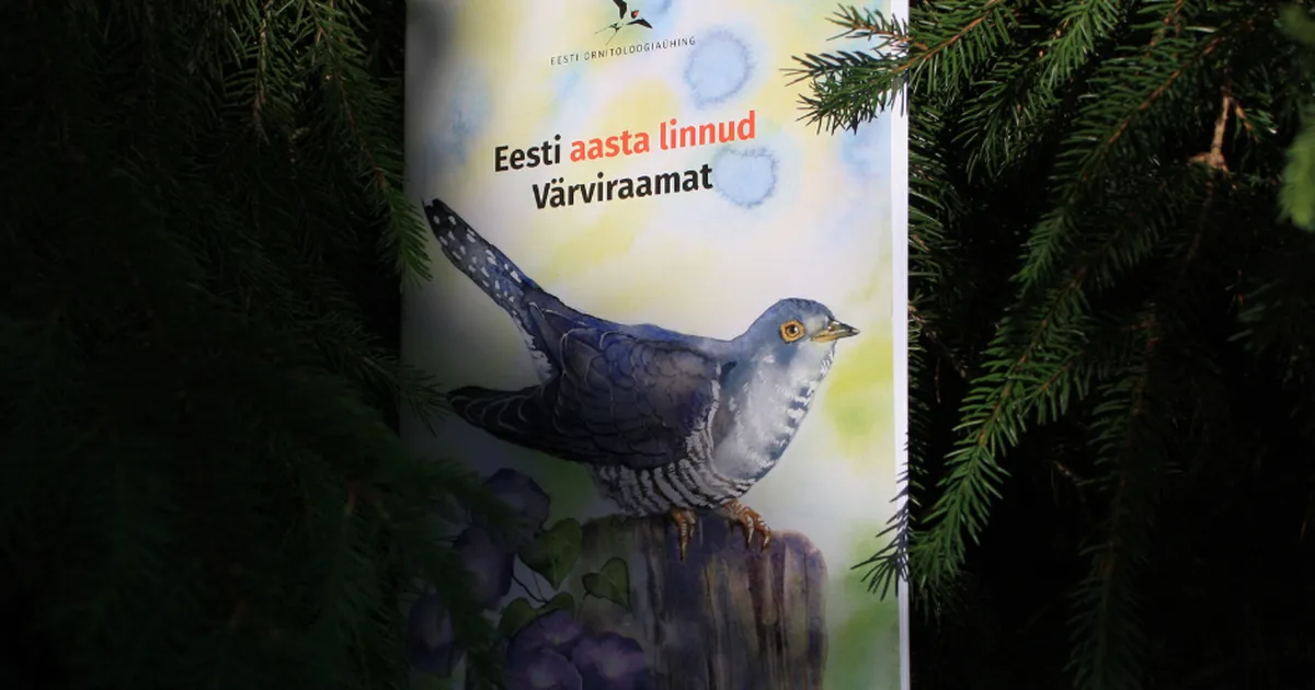 Prin achiziționarea cărții de colorat, puteți susține Societatea Ucraineană pentru Protecția Păsărilor