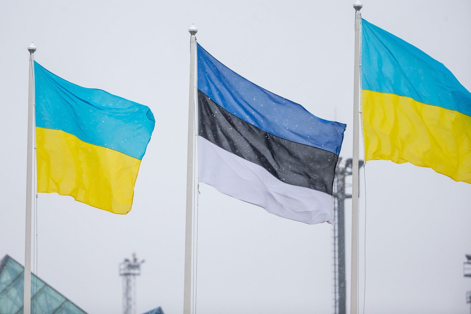 Eesti ja Ukraina lipud