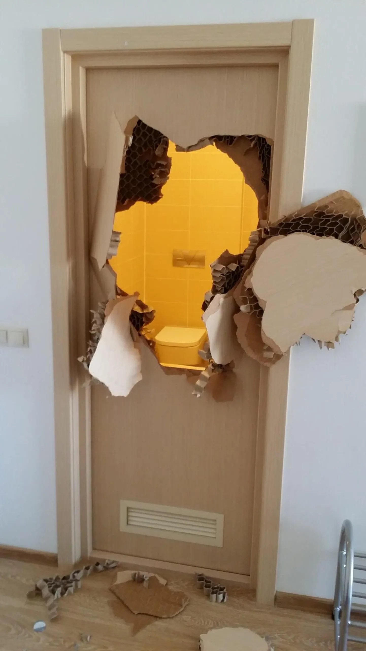 Американский бобслеист Джонни Куинн выломал дверь душевой в олимпийской деревне Сочи.
