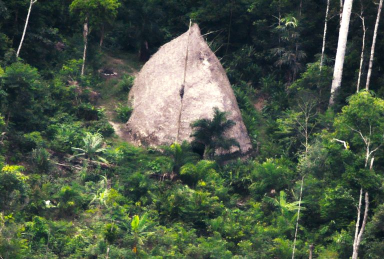 Droonivideo kaader Amazonase džunglis elava senitundmatu hõimu elukohast. Pildil on pikkmaja, mis portugali keeles on maloca