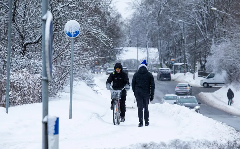 Ka Võru tänava rattateel oli nädala esimesel päeval kondimootori jõul raske liikuda. Ja nagu aastaringste ratturite kiuste tuli lund aina juurde.