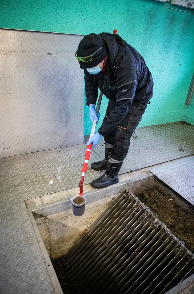 Работник Эстонского центра исследований окружающей среды берет пробу сточных вод города Кейла