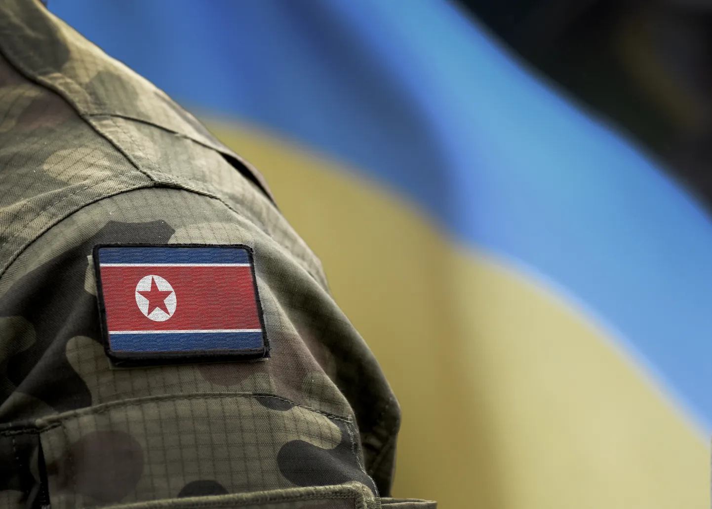 Северокорейский военный на фоне украинского флага. Иллюстративное фото