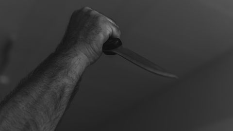 Заколол ножом посреди улицы: пенсионера в Юрмале могут обвинить в убийстве собаки соседки