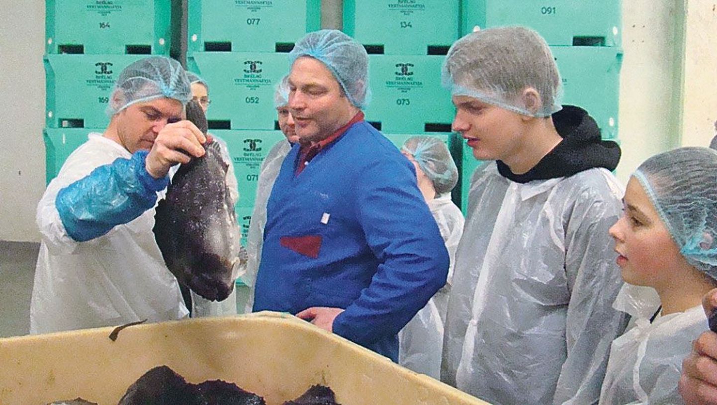 Õpilased külastasid Islandi kalatööstust.
