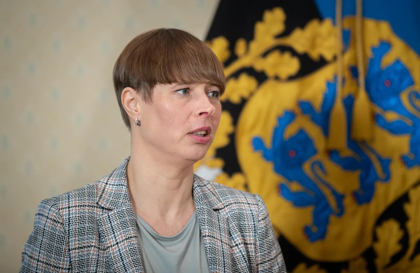 President rõõmustas, et inimesed tunduvad kehtestatud liikumispiirangutest ja 2+2 reeglist kinni pidavat.