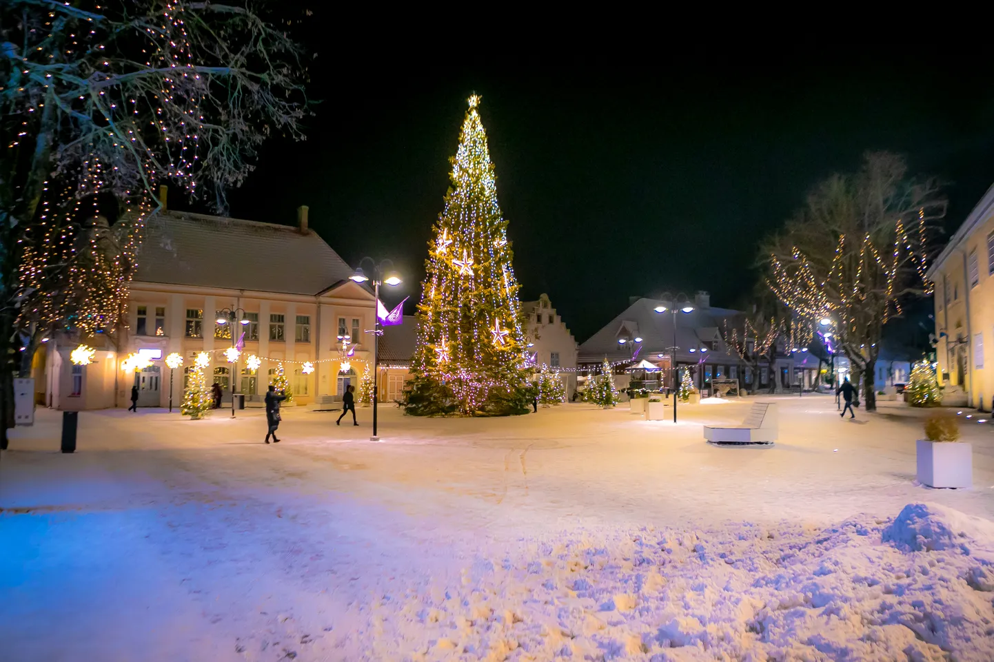 Kuressaare esinduskuusk läinud jõuluajal.