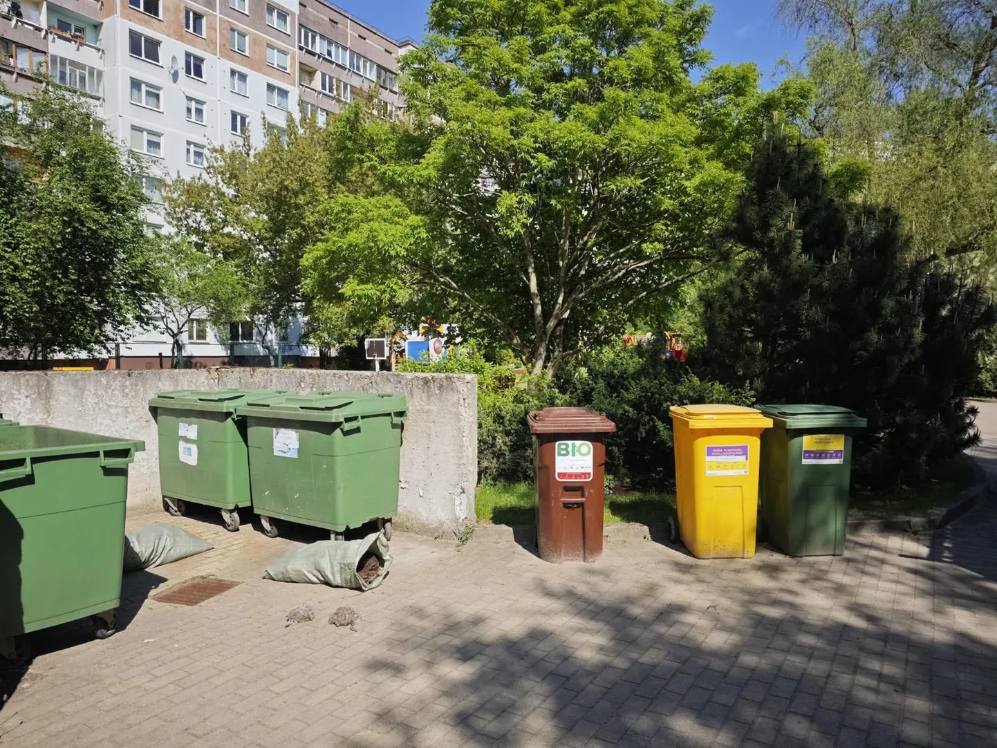 Raksta foto
