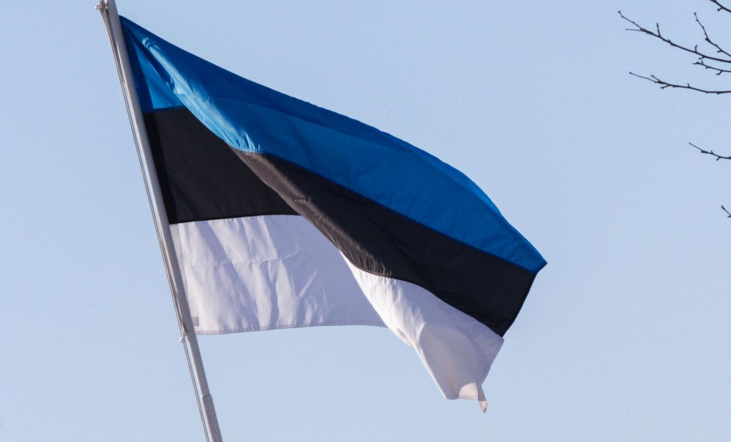 Eesti riigilipp.