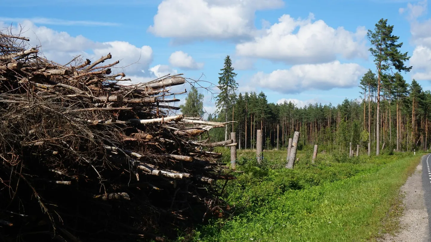 Põlvamaa, Tännasilma (Tännäsilmä).
